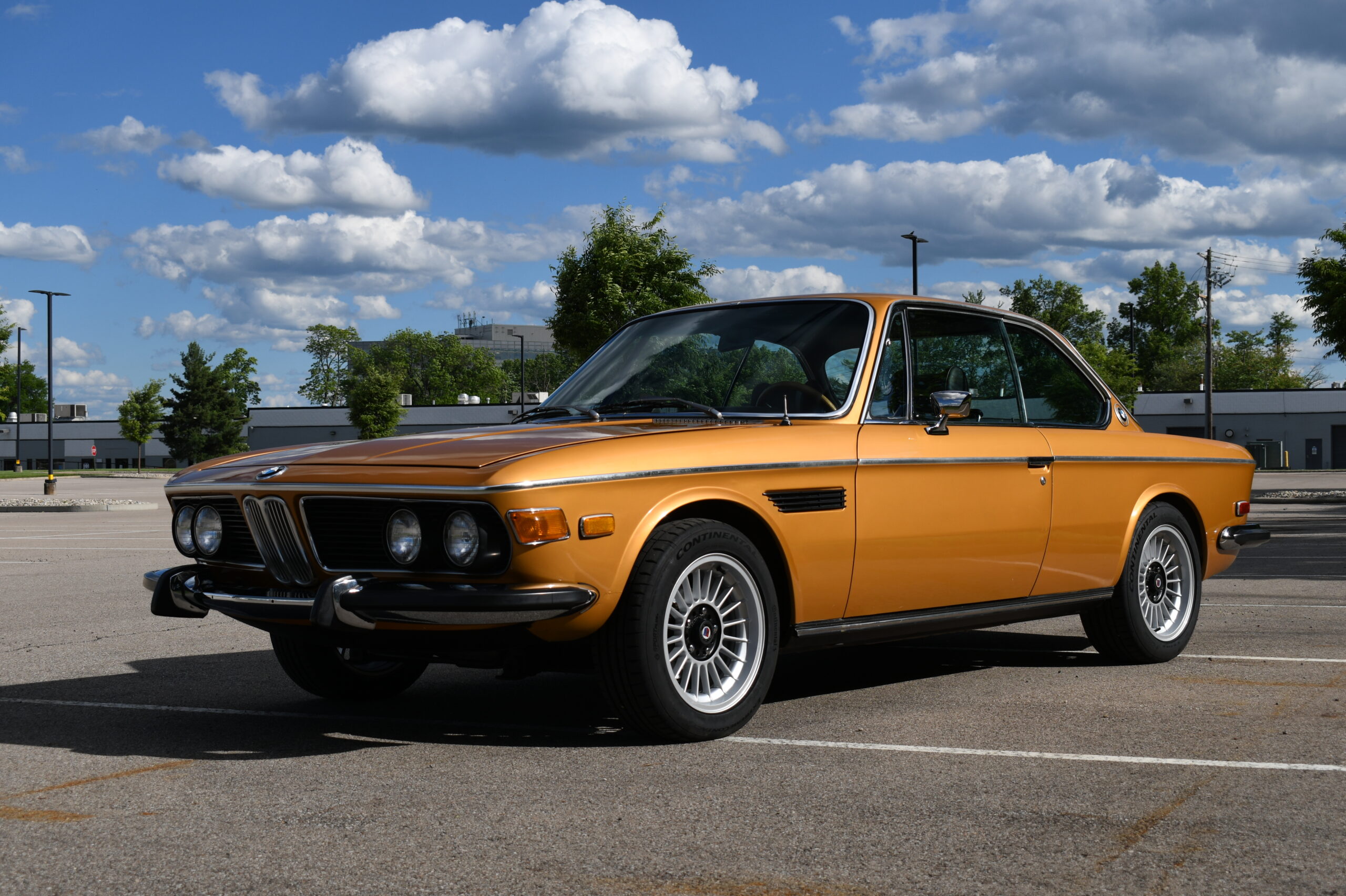 BMW004 “Certified BMW mechanic performing routine service”